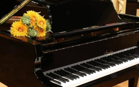 琴行鋼琴選購：注意！你選對真正的德國鋼琴了嗎？