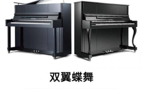 成都珠江鋼琴PN1型號價格，珠江鋼琴pn1成都智音鋼琴城專賣店技術參數詳解