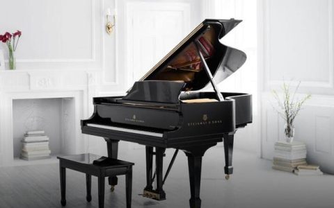 買什麼鋼琴比較好？看下這兩款_中古鋼琴城 – 二手鋼琴展示中心