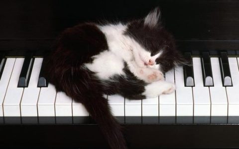 鋼琴回收共享時代，舊鋼琴也能再度發光發熱_二手鋼琴展示中心