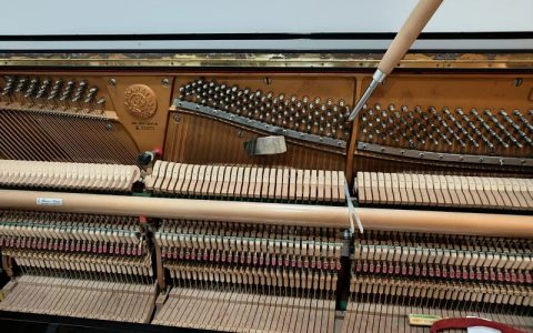 台北市民權東路鋼琴調音日誌_琴主李童鞋_河合KAWAI直立鋼琴KS-1F