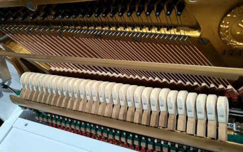 感謝新北市泰山區沈小姐選購YAMAHA M1直立小型鋼琴_調音售後維修保養日誌