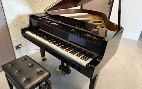 從小學音樂能否讓孩子贏在起跑線？